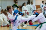 IV. Lehel Vezér Nemzetközi ITF Taekwon-Do Kupa / Jászberény Online / Szalai György